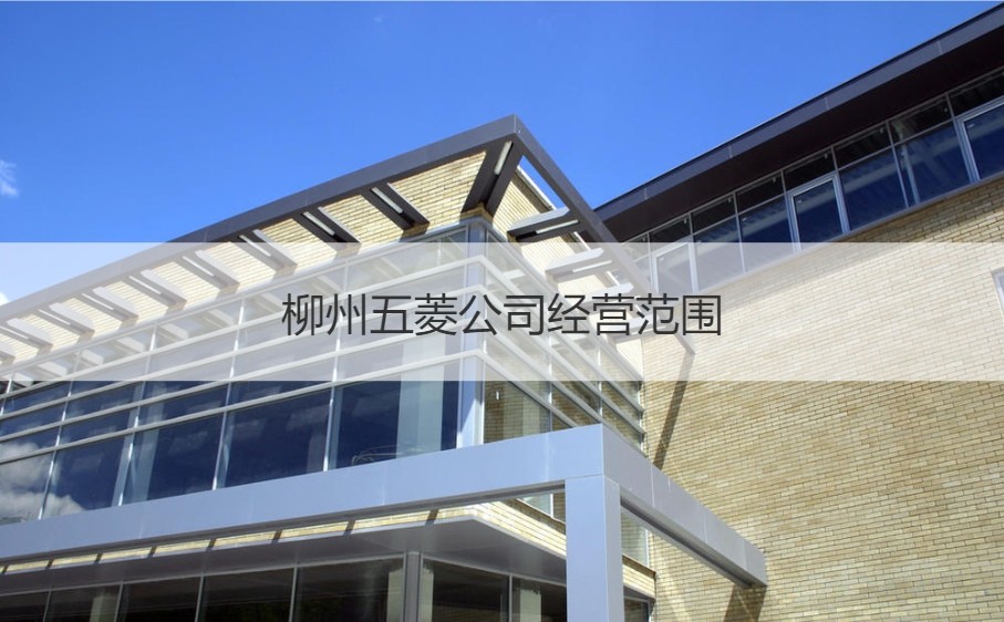 柳州五菱工业公司工资与经营范围解析 两轮助动自行车批发业务概览